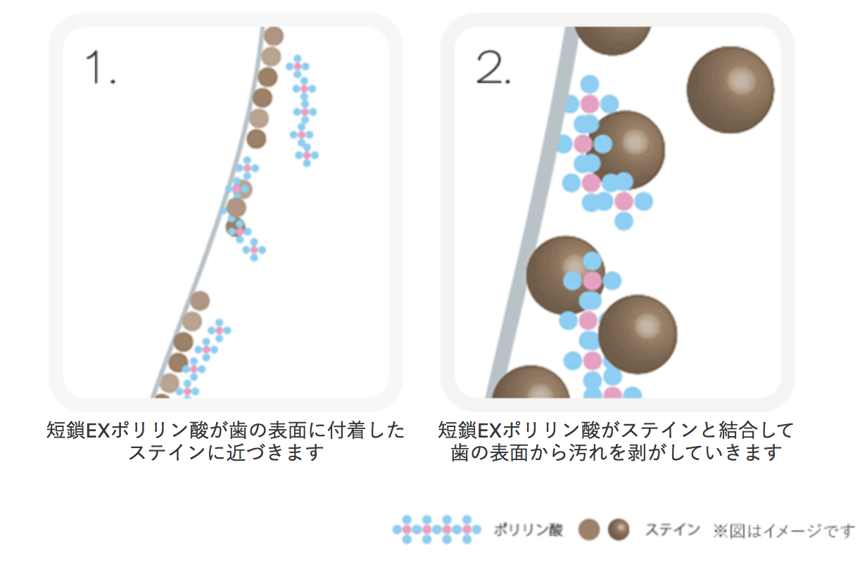 No009ポリリン酸のステインを除去する 汚れを落とす 効果 公式 分割ポリリン酸ホワイトニングシステム ハイブリッドポリリンホワイトニング